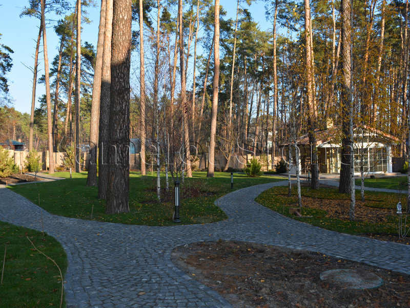 prod_img_holder - Фото №17